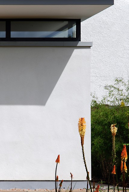 Polley Garden Designs Planting Plan