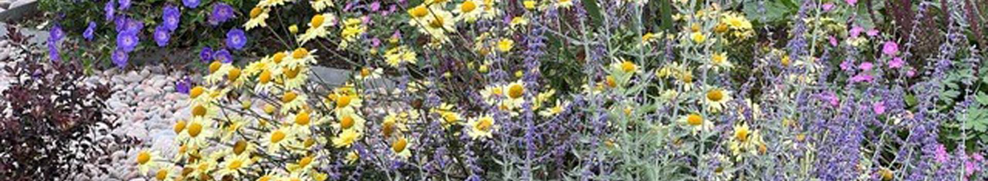 Villa with a Seascape Garden